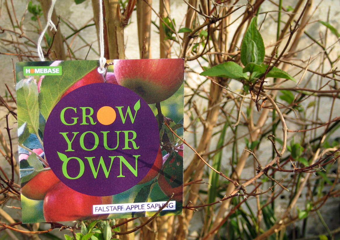grow your own